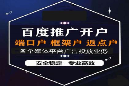 百度竞价广告投放成功案例解析